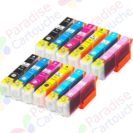 Epson 24XL ensemble de 12 cartouches d'encre compatibles haute capacité (Paradise Cartouche)