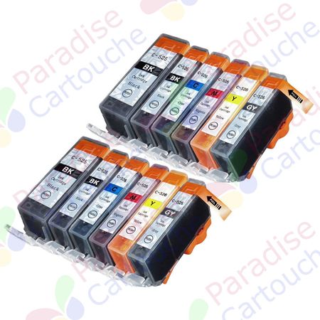 Canon PGI-525 & CLI-526 ensemble de 12 cartouches d'encre compatibles (Paradise Cartouche)