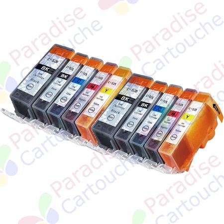 Canon PGI-520 & CLI-521 ensemble de 10 cartouches d'encre compatibles (Paradise Cartouche)